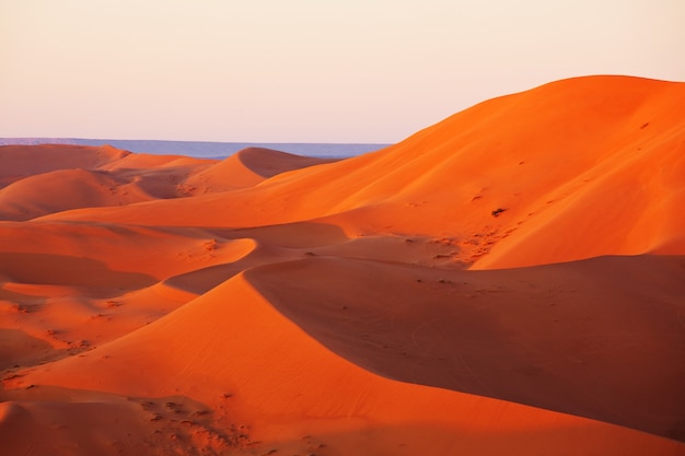 Dunas de arena en el desierto