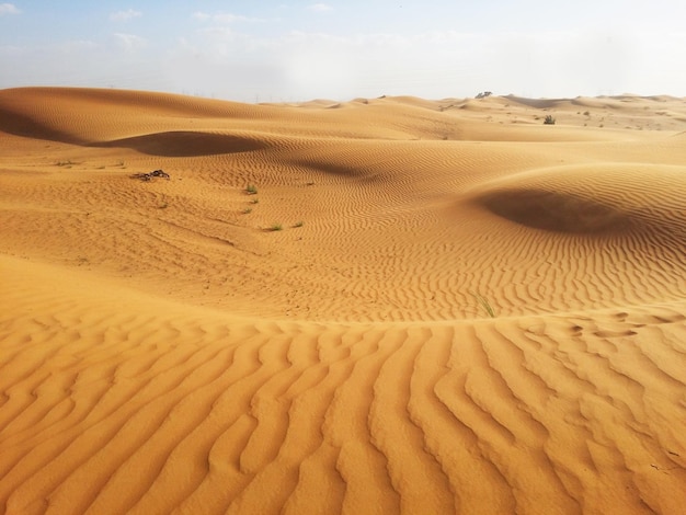 Dunas de arena en el desierto