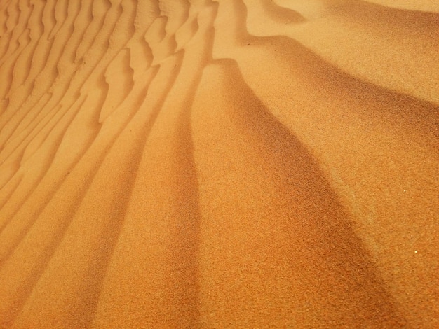 Dunas de arena en el desierto