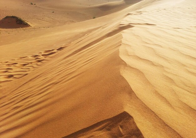 Dunas de arena en el desierto