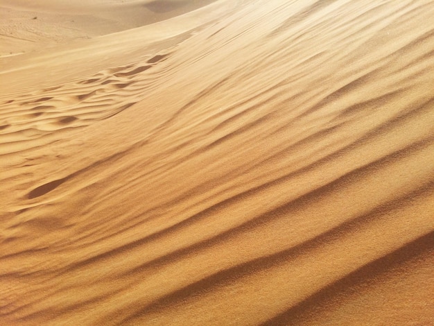 Dunas de arena en el desierto