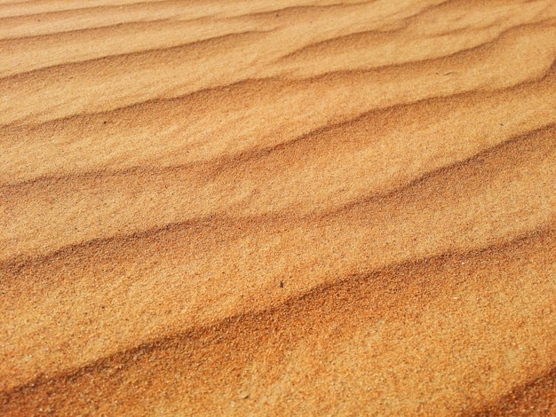 Dunas de arena en el desierto