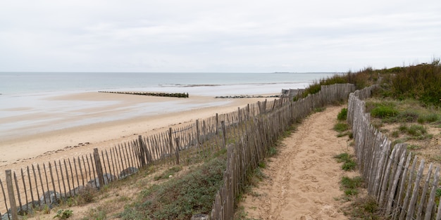 Dunas de arena dorada y hierba de playa