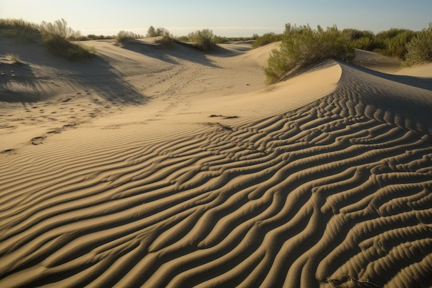 Foto dunas de arena en forma de olas con arena rodante y patrones repetitivos