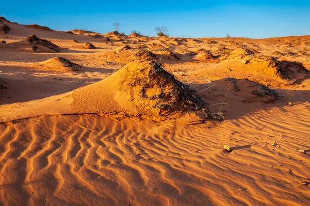 Dunas de arena en Mui Ne