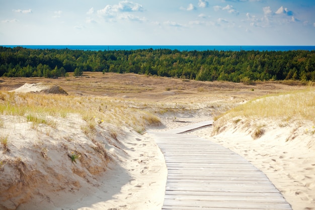 Dunas de arena no lejos de Nida en Lituania