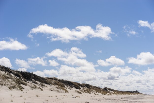 Dunas de arena con nubes Típico paisaje de playa del Báltico