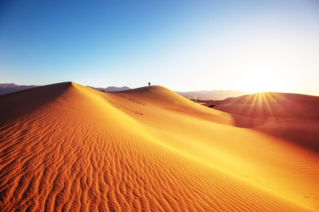 Dunas de arena en el Parque Nacional Death Valley, California, Estados Unidos. Coral vivo tonificado.