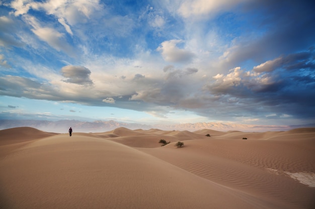 Dunas de arena en el Parque Nacional Death Valley, California, Estados Unidos. Coral vivo tonificado.