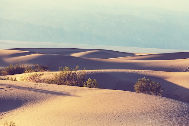 Dunas de arena en el Parque Nacional Valle de la Muerte, California, EE.