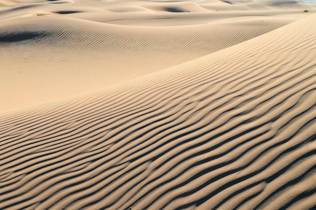 Dunas de arena con patrones repetitivos de líneas y curvas.