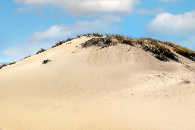 Dunas de arena de la playa de Guincho