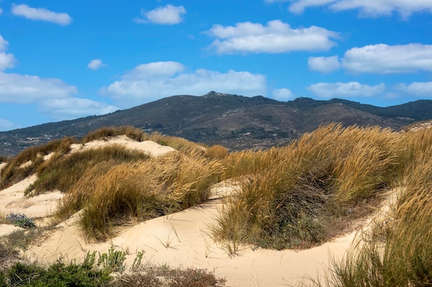 Dunas de arena de la playa de Guincho