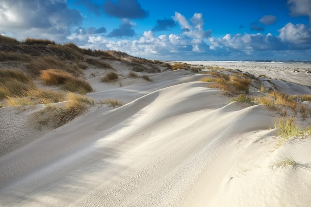 dunas de arena en la playa del mar del Norte en un día soleado