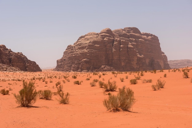 Foto dunas de arena roja y acantilados de piedra arenisca