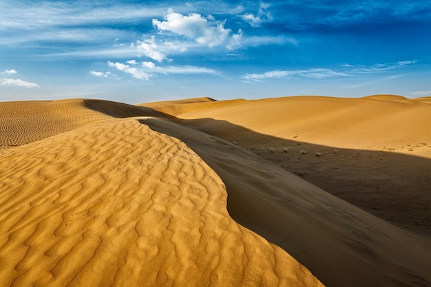 Las dunas de arena de Sam en el desierto de Thar, Rajasthan, India