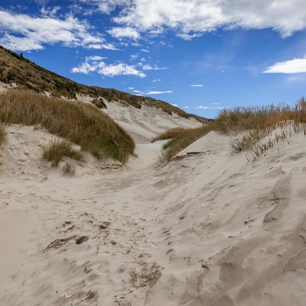 Dunas de arena en Sandfly Bay, Isla del Sur, Nueva Zelanda