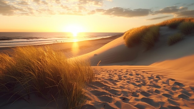 Dunas de arena serenas al atardecer en la playa