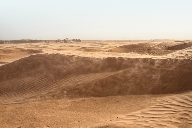 Dunas de arena solitarias en un fuerte viento bajo el cielo con el telón de fondo del desierto árido