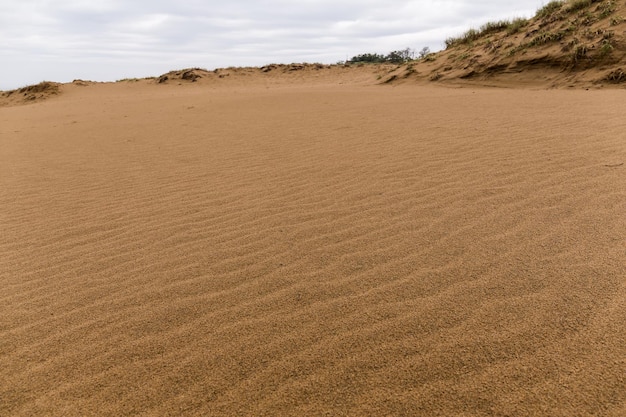 Dunas de arena de Tottori