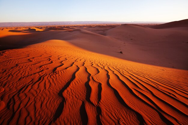 Foto dunas de arena vírgenes en el desierto remoto