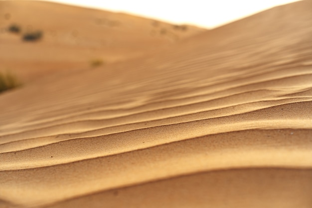 Dunas de areia amarela no deserto de dubai