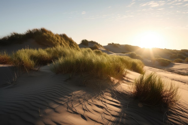 Dunas de areia ao sol da manhã com um céu tranquilo