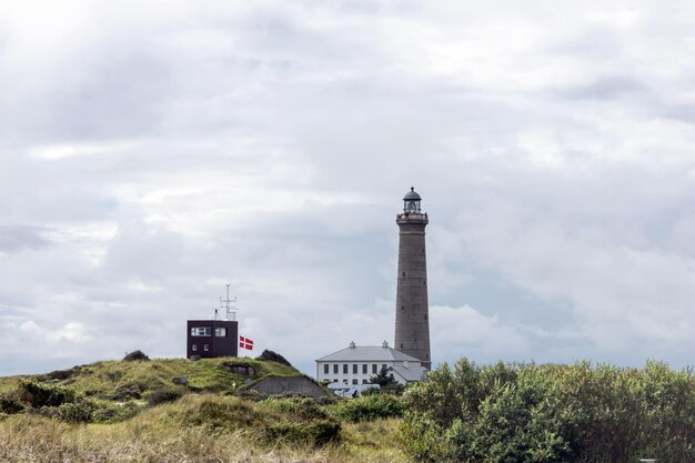 Foto dunas de areia cobertas de arbustos e grama skagen dinamarca