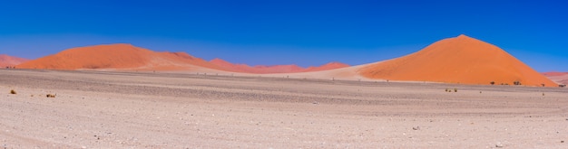 Dunas de areia coloridas e paisagem cênico no deserto de namib, parque nacional de namib naukluft.