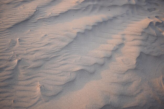 Dunas de areia criadas pelo vento Deitadas planas