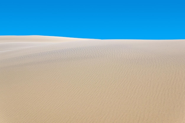 Dunas de areia da paisagem do deserto sob o céu azul