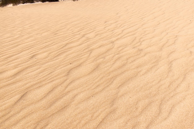 Dunas de areia da praia perto dos fundos e texturas da areia do mar