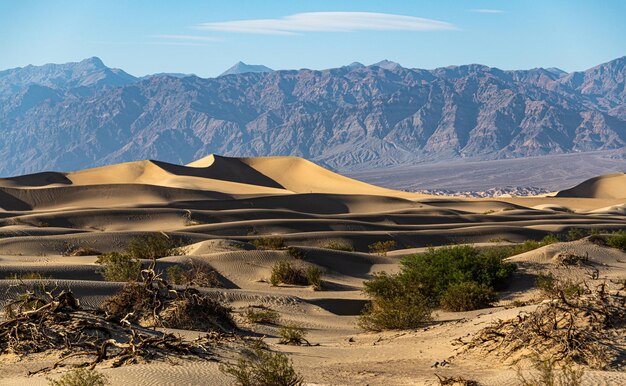 Dunas de areia de algaroba em Death Valley NP