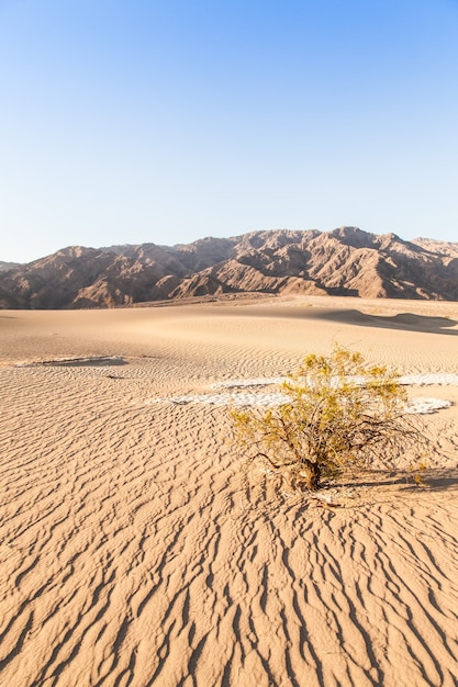 Dunas de areia de Mesquite Flat no deserto do Vale da Morte - Califórnia