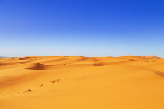 Foto dunas de areia do deserto do saara.