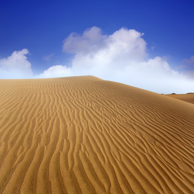 Dunas de areia do deserto em maspalomas gran canaria