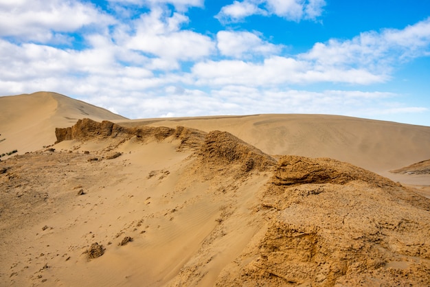 Dunas de areia gigantes perto de uma praia de 90 milhas na costa oeste da nova zelândia