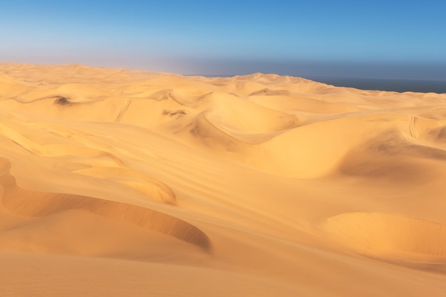 Dunas de areia laranja e céu claro no deserto do Namib no Parque Nacional NamibNaukluft da Namíbia África Paisagem fotografia