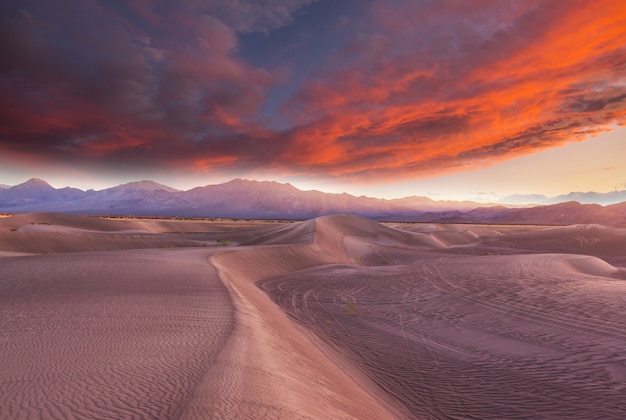 Dunas de areia na califórnia, eua. bela paisagem natural