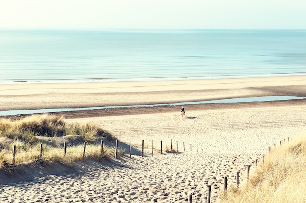 Dunas de areia na costa do mar em Noordwijk, Holanda, Europa.