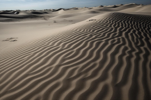 Dunas de areia no deserto com o pôr do sol