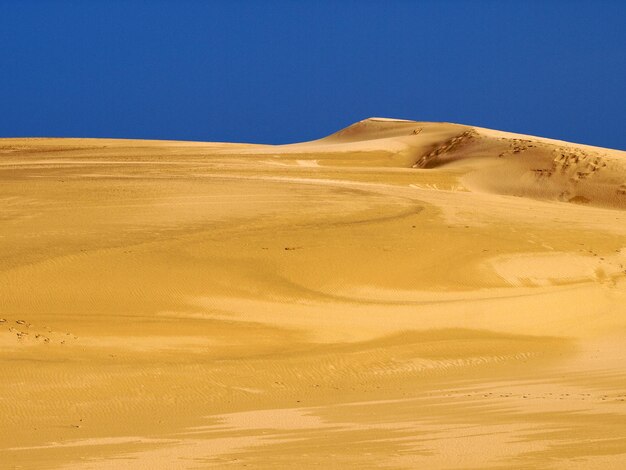 Foto dunas de areia no deserto contra o céu azul claro