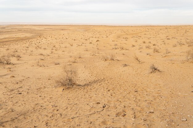 Dunas de areia no deserto de Kyzylkum, Uzbequistão