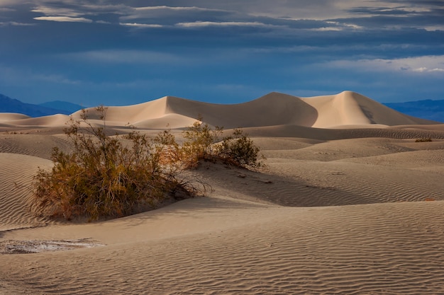 Dunas de areia no deserto de nevada