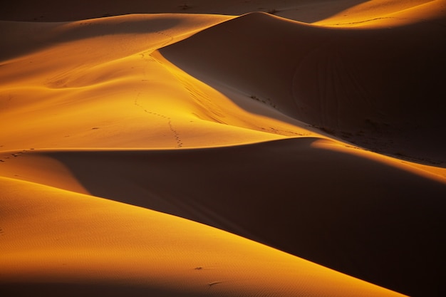 Dunas de areia no deserto do Saara