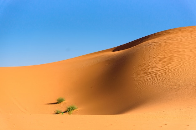 Dunas de areia no deserto do Saara