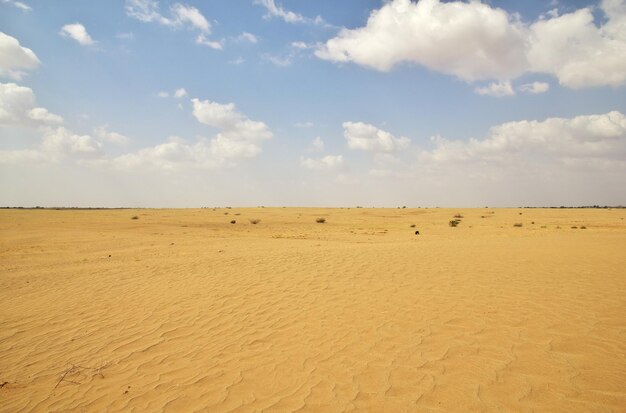 Dunas de areia no deserto Iémen