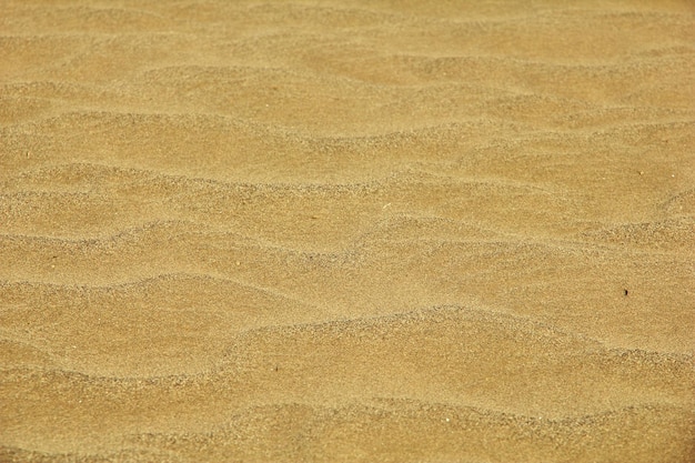 Dunas de areia no deserto Iémen