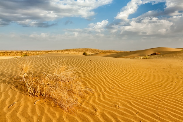 Dunas de areia no deserto