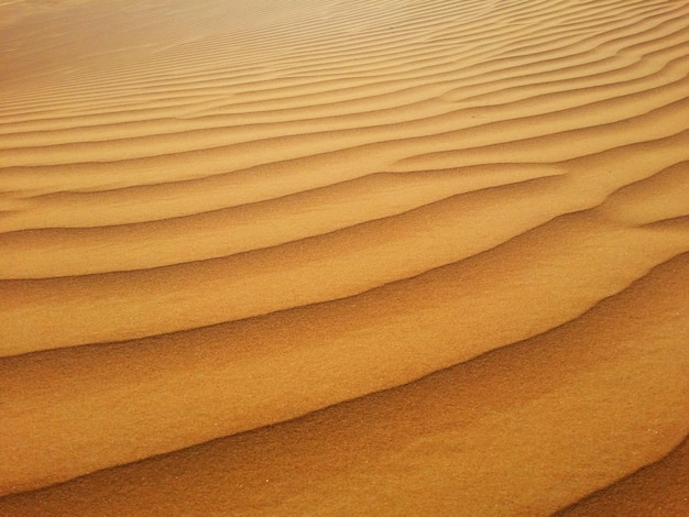 Dunas de areia no deserto